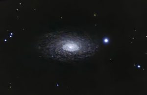 Galaktyka Słonecznik M63